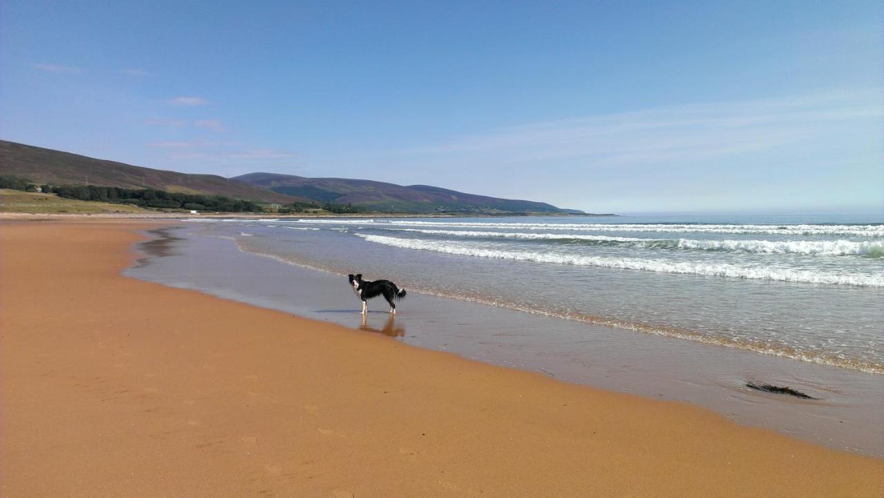 Helmsdale Lodge Hostel - All Rooms En-Suite מראה חיצוני תמונה